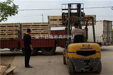 金刚网018
